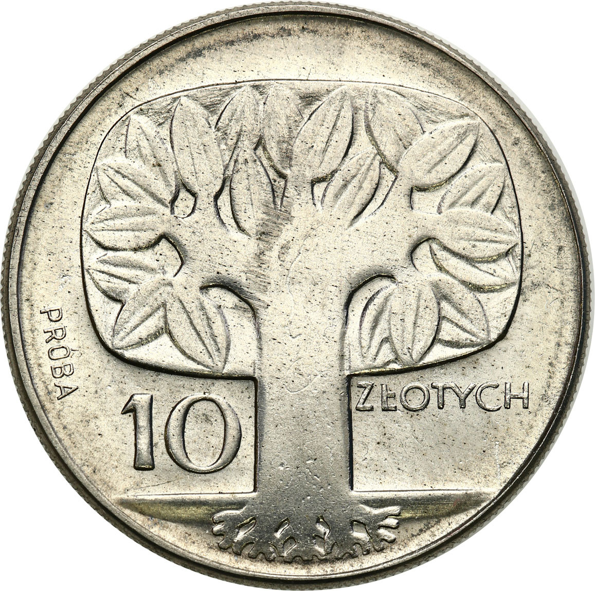 PRL. PRÓBA Nikiel 10 złotych 1964 - drzewo